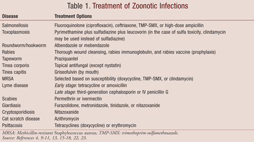 Zoonotic Infections Your Pets Can Make You Sick