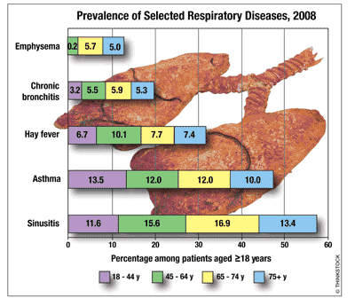 The Prevalence Of Respiratory Diseases