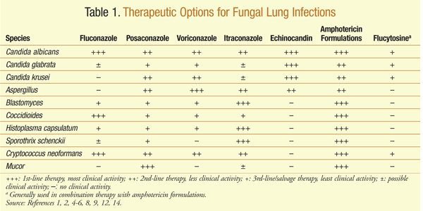 How is a lung infection treated?