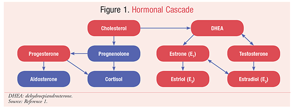 Hormone Cascade Chart