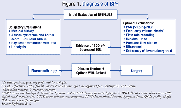 Guidelines for the Treatment of Benign Prostatic Hyperplasia